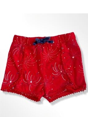 Celebrate Patriotic Fireworks Shorts